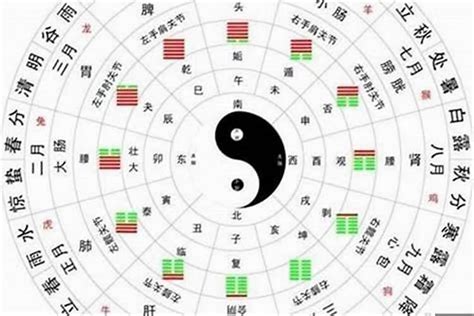 如何看命格|八字算命器